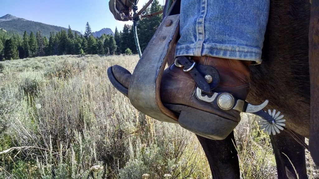 cowboy_boots_saddle